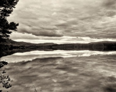 Loch Garten